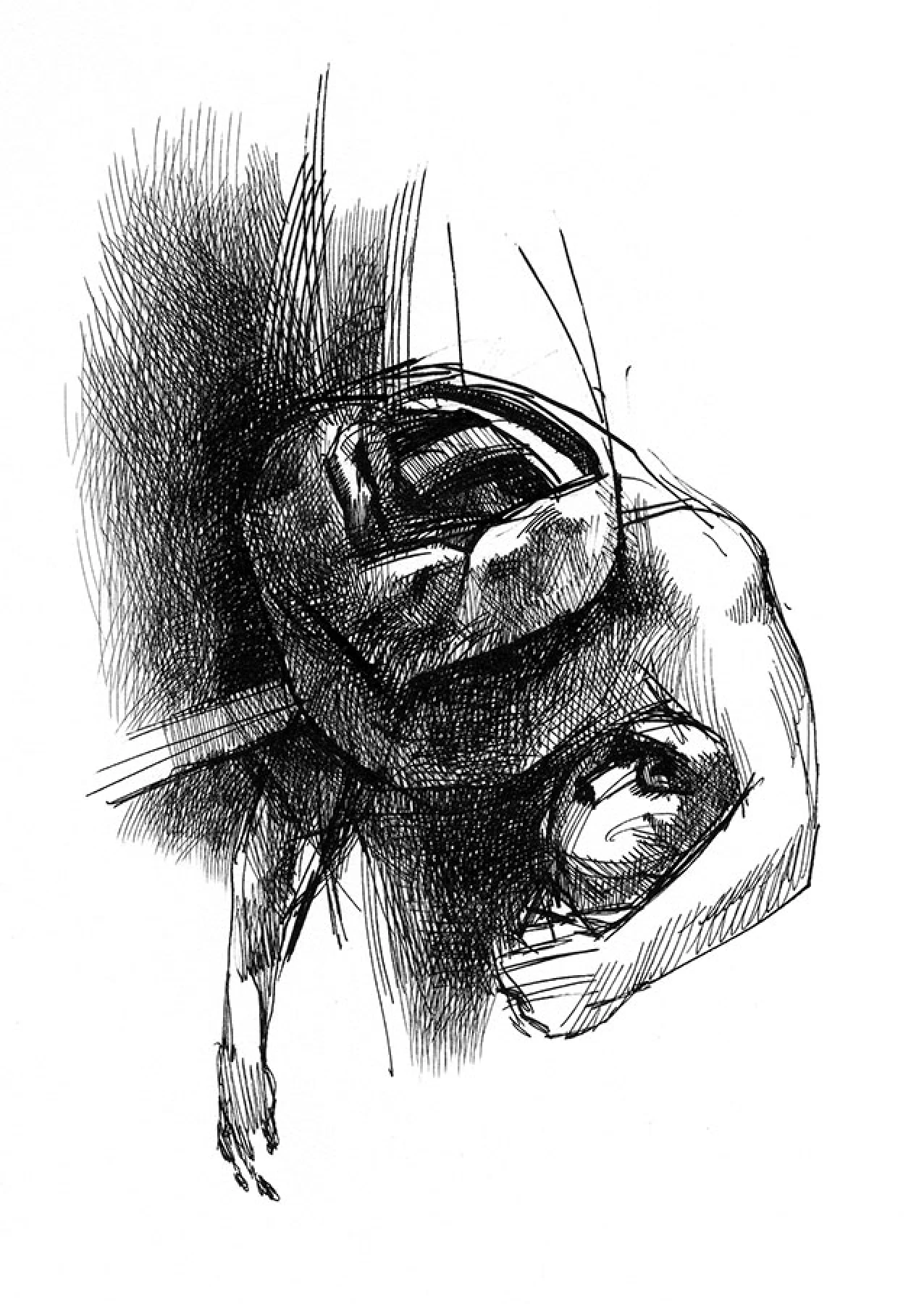Illusion ("Absentpaedia" series)