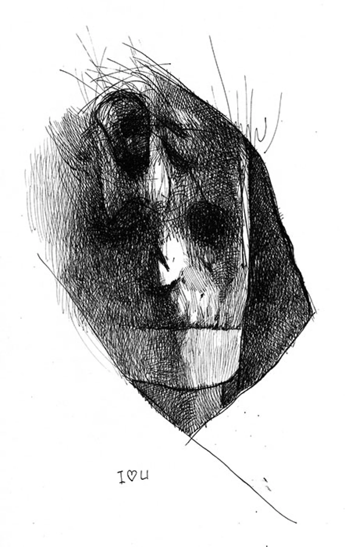 Halucination ("Absentpaedia" series)