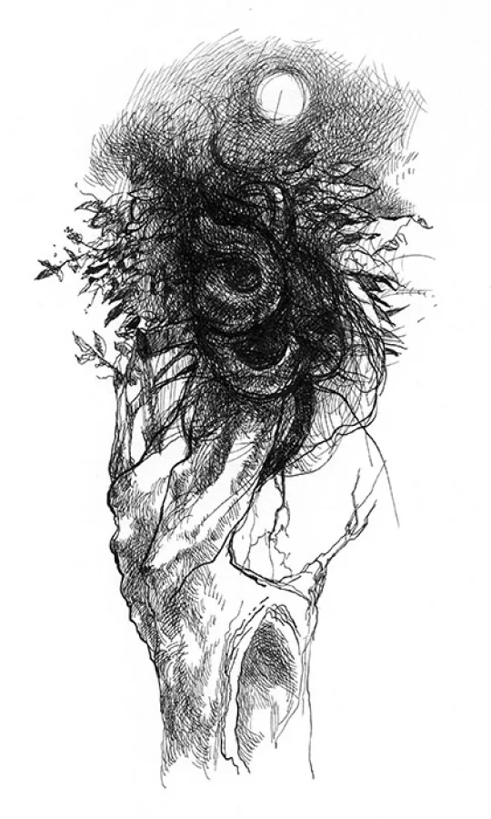 Nest ("Absentpaedia" series)