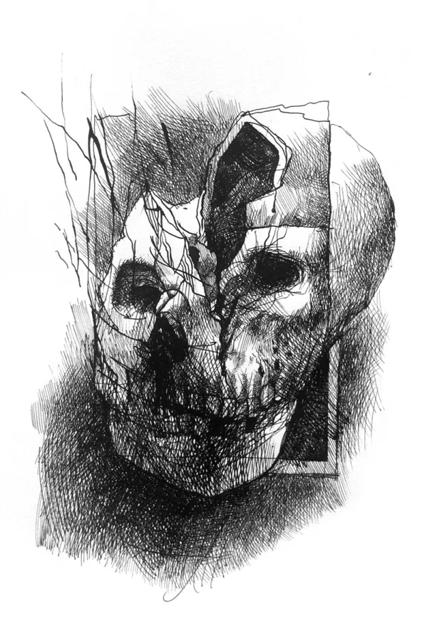Skull of Dora Maar ("Absentpaedia" series)