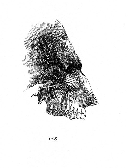 The Missing Link ("Absenpaedia" series), 2007, Ink on paper, 28 x 19 cm