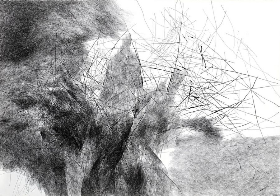 Blood Tension, 2014, Ink on paper, 70 x 100 cm